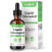 Liquid Chlorophyll Drops – Internal Deodorizer & Antioxidant